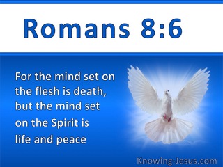 Romans 8:6 The Mind Set On The Spirit Is Life And Peace (white)